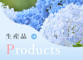 sp_bnrhalf_products